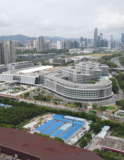 香港大學深圳醫院